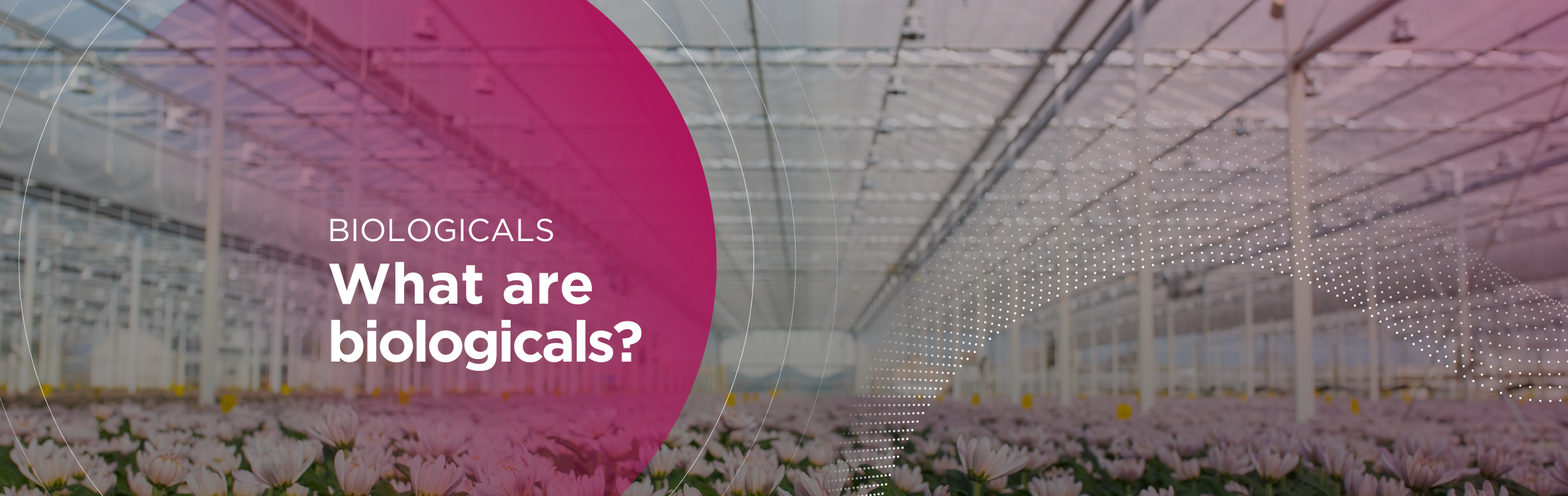 What are Biologicals?