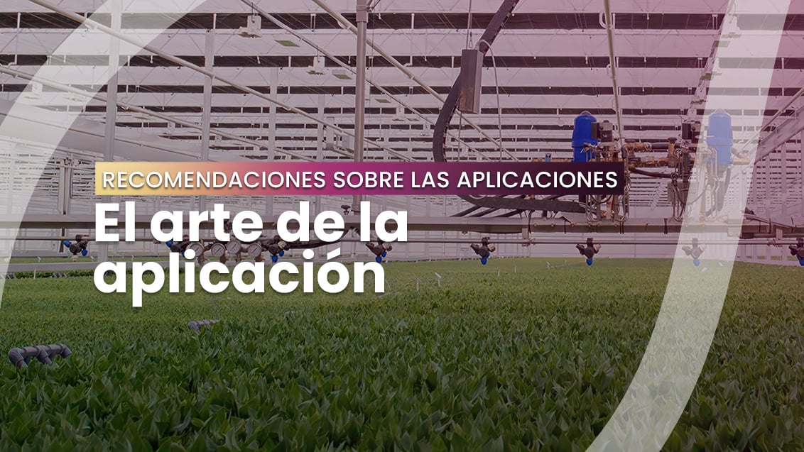 Banner Aplicaciones Ecuador