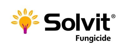 Solvit fungicide