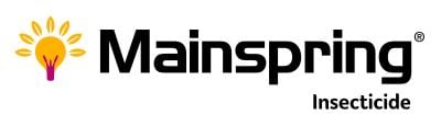 Mainspring