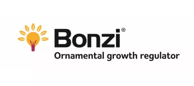 Bonzi