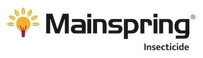 Mainspring