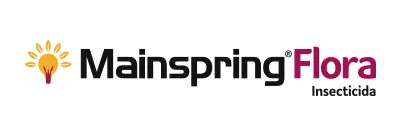 mainspring