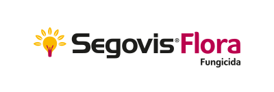 Segovis