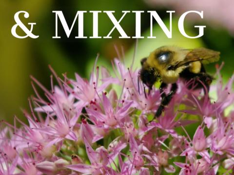 compatibility and mixing