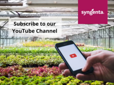 Subscribe to our YouTube Channel