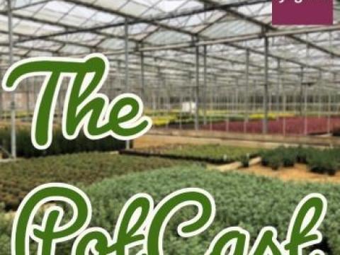 The PotCast
