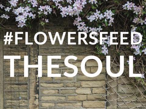 Flowersfeed the soul