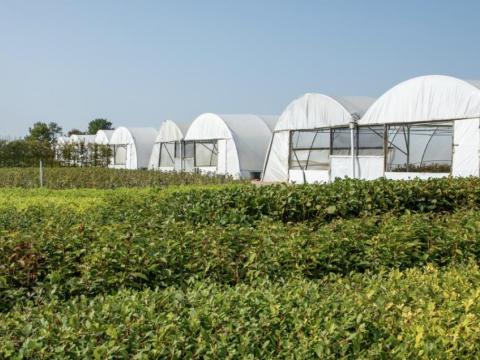 horitculture spray nozzles