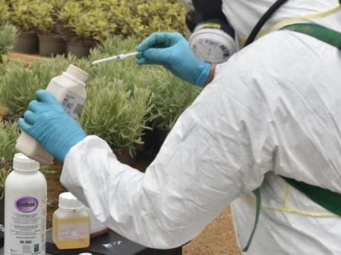 Plant spraying