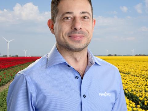 alessandro-tulpen