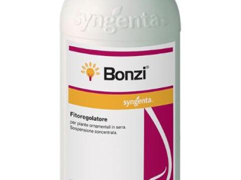 Bonzi