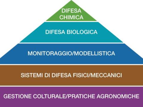 piramide difesa integrata