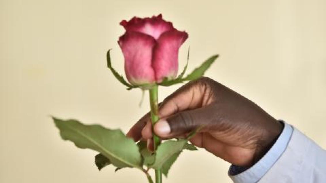 Rose in hand