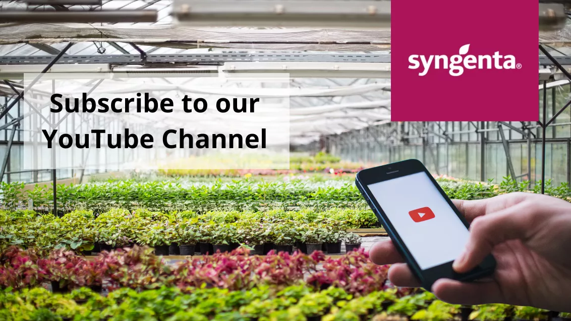 Subscribe to our youtube