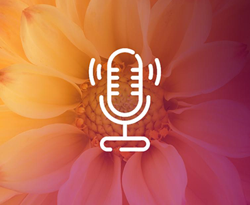 podcast