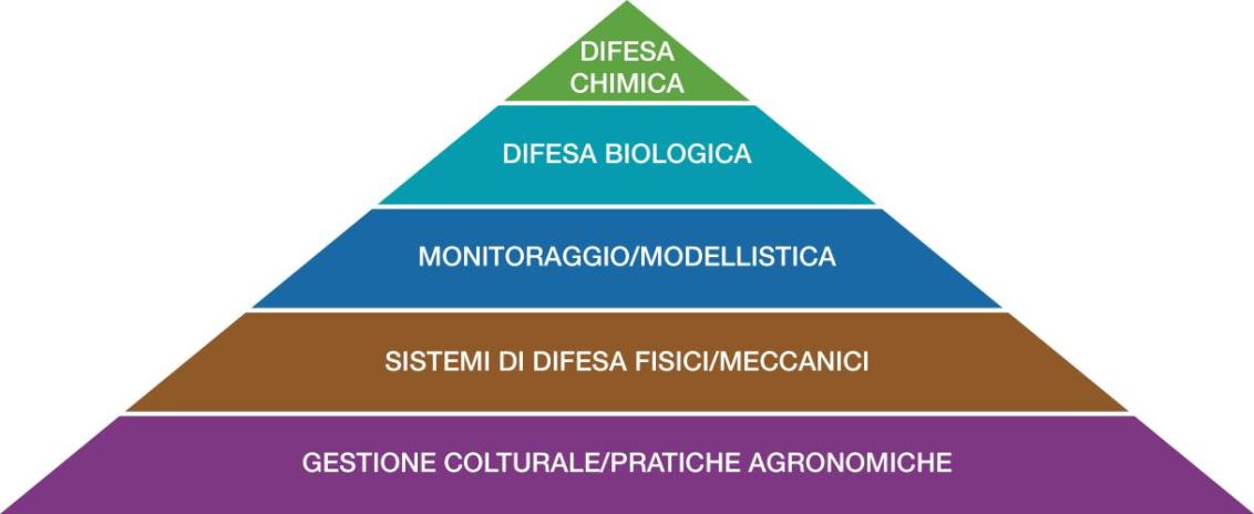 piramide difesa integrata