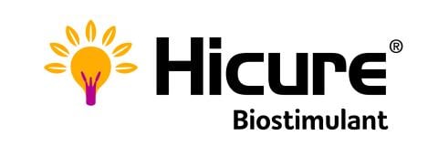 hicure logo