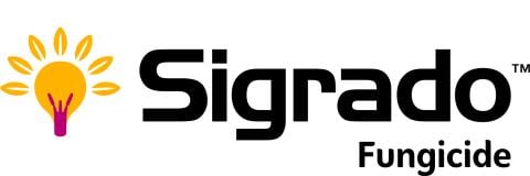 Sigrado