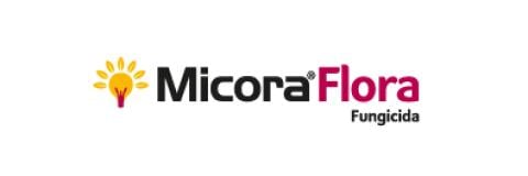 Micora