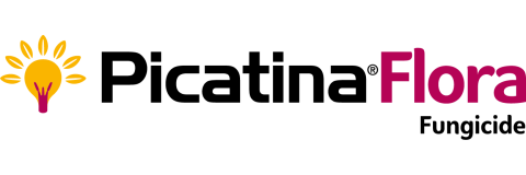 PicatinaFlora