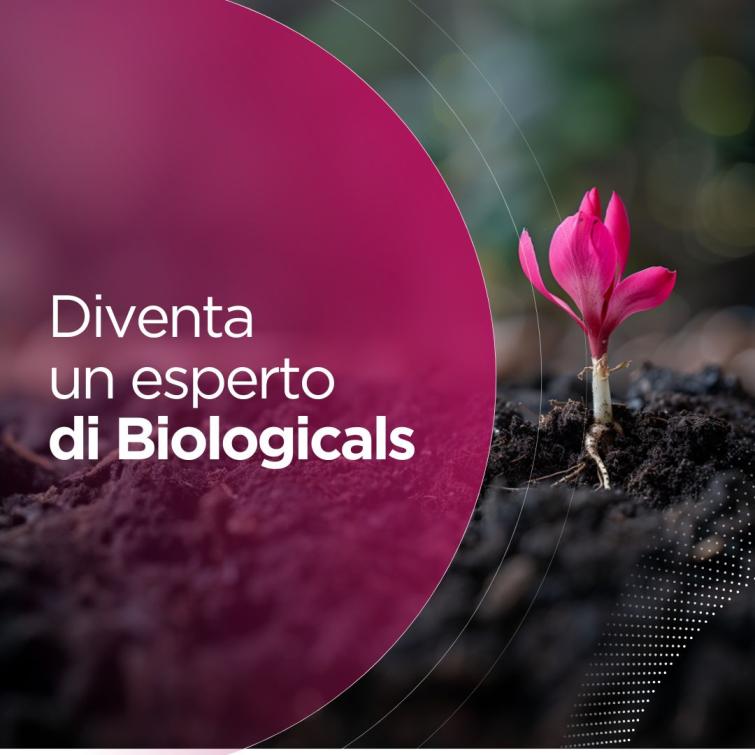 Image biologicals pages