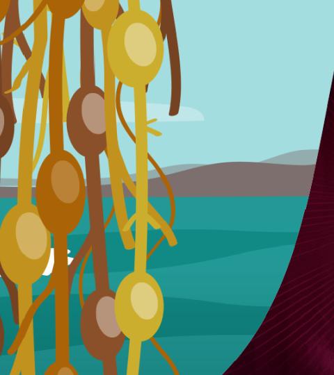 the_story_behind_seaweed_danish