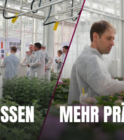 Three workers in a greenhouse; German text on maroon banners along the bottom