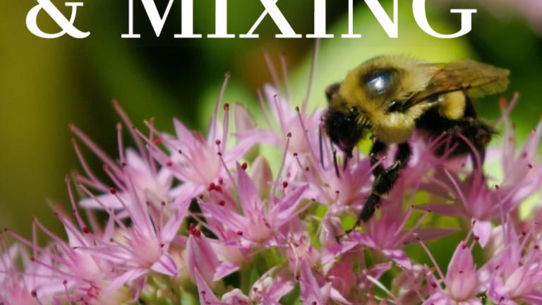 compatibility and mixing