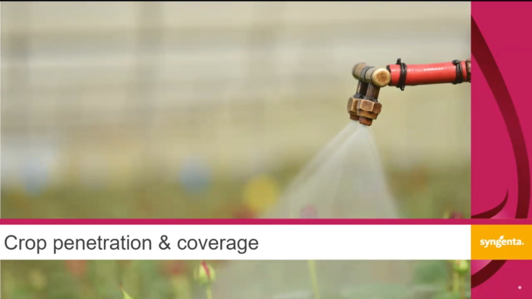 Crop coverage