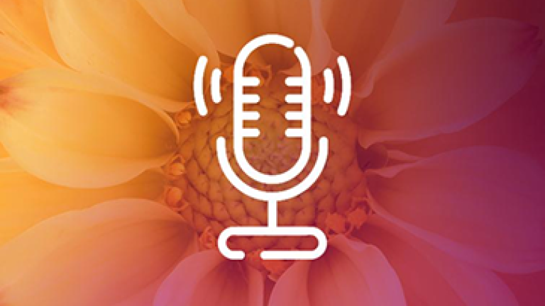 podcast