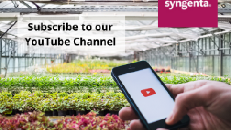 Subscribe to our YouTube Channel