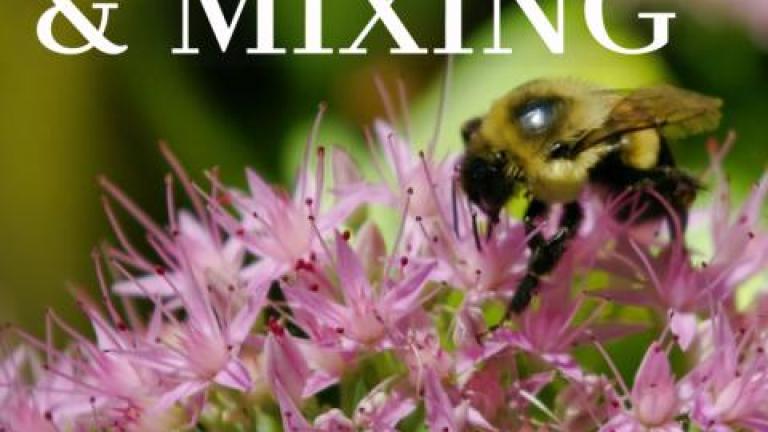 Compatibility and mixing