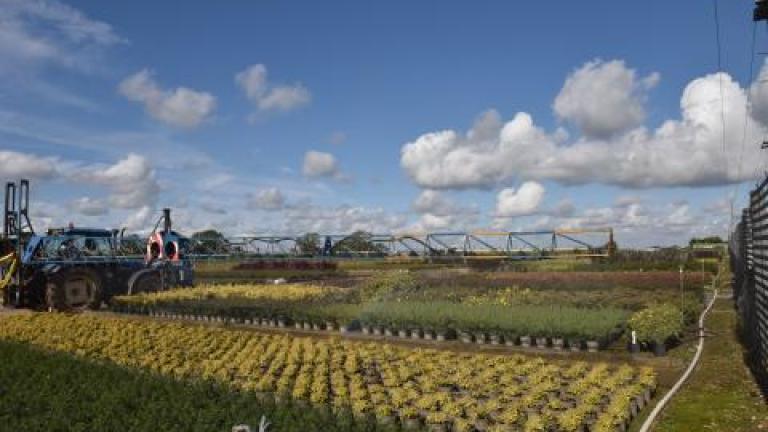 Farm