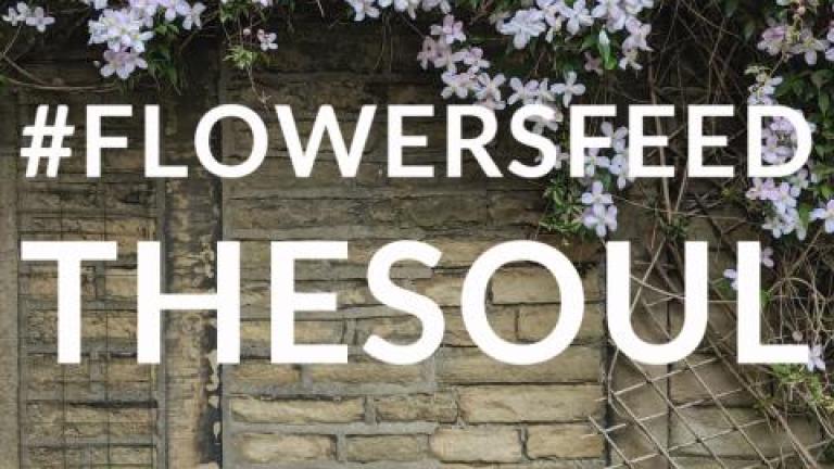 Flowersfeed the soul