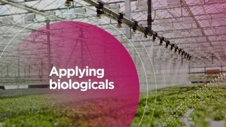 biologicals