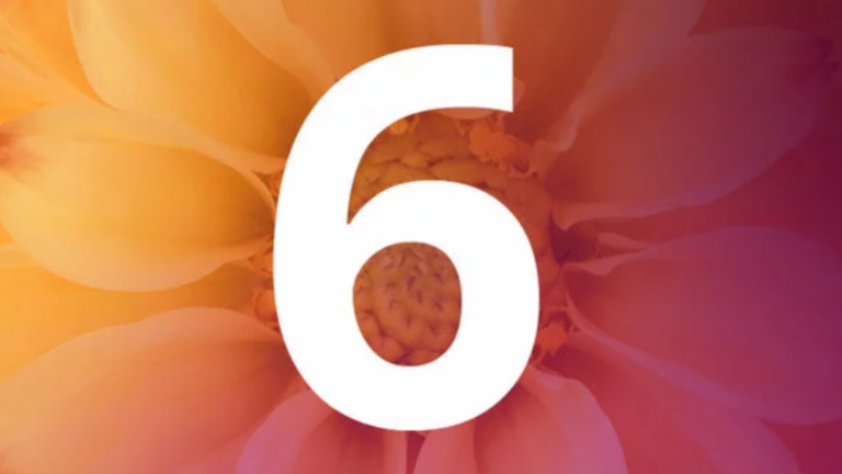 The Art of Application 6