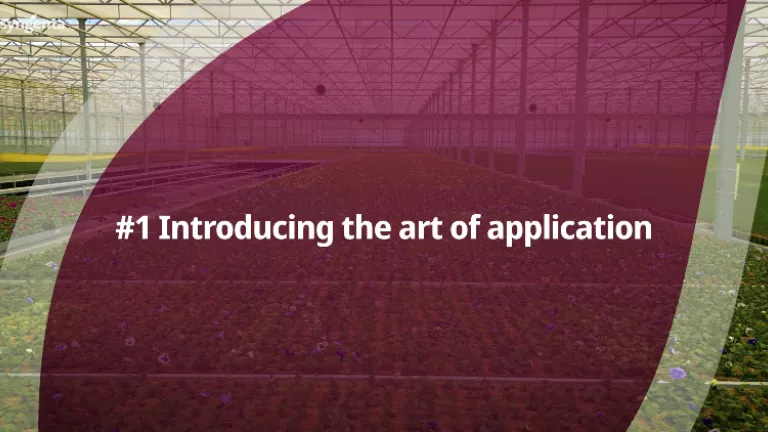 art of application