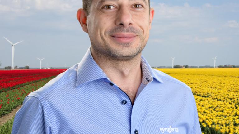 alessandro-tulpen