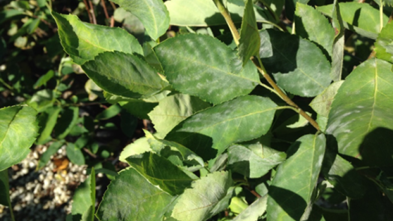 Blog 9