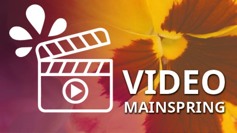 mainspring
