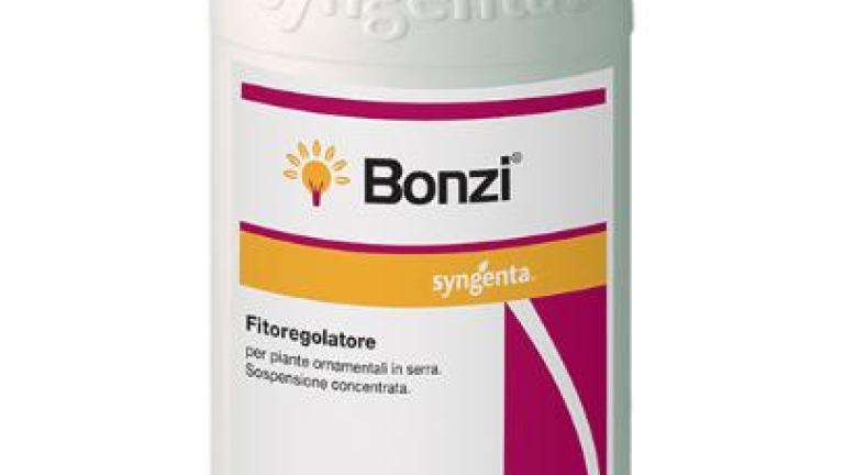 Bonzi
