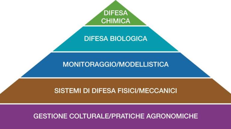 piramide difesa integrata