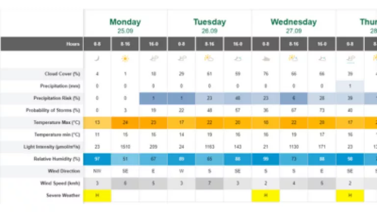 orn_-_weather_forecast.webp