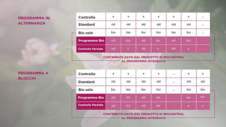 bnl_sierteelt_t9_table_text