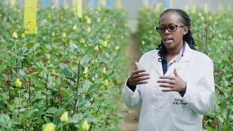 Syngenta working together: every flower counts