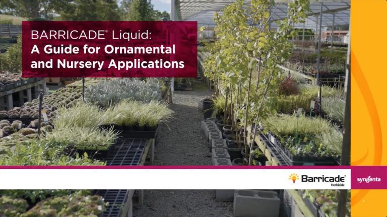 BARRICADE® Herbicide: A Guide for Ornamental and Nursery Applications