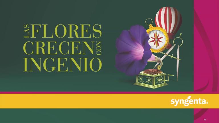 Syngenta LAN | Flores, Fechas importantes