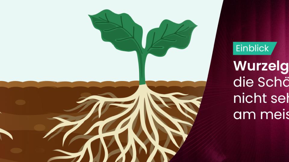 root_health_german_1920x600.jpg