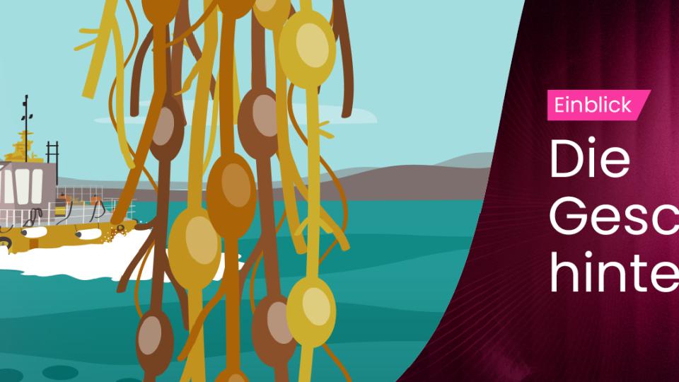 the_story_behind_seaweed_german_1920x600.jpg